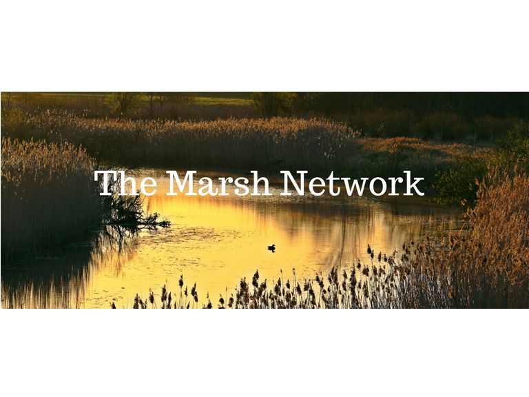 The Marsh Network 