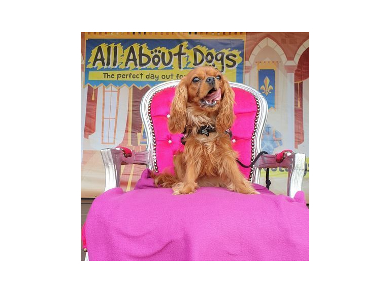 All About Dogs Show Newbury 2022