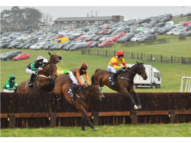 Dingley Races - Point To Point