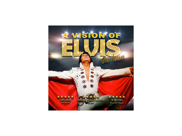 A Vision of Elvis 