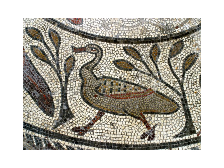 Bird Mosaic Adult Craft Workshop