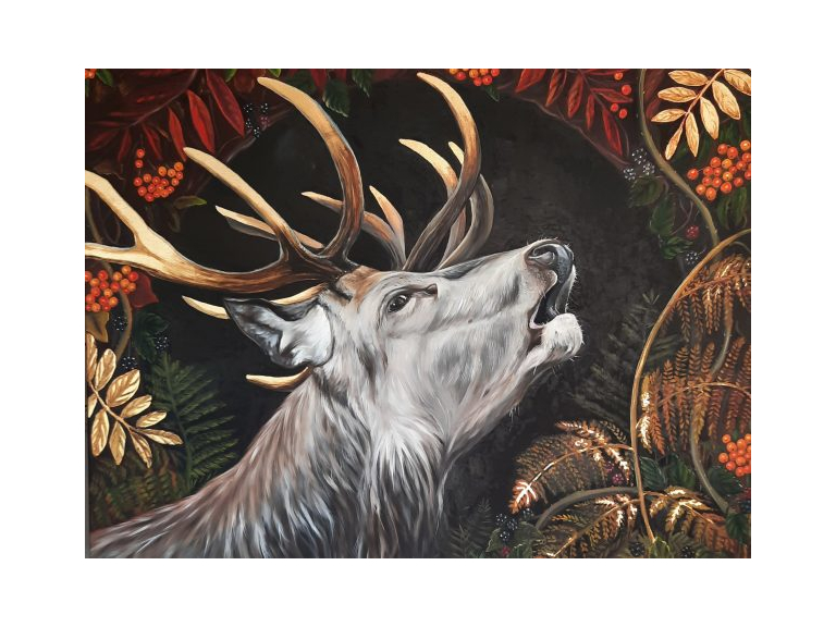 Call of the Wild Exhibition by Anita Saunders