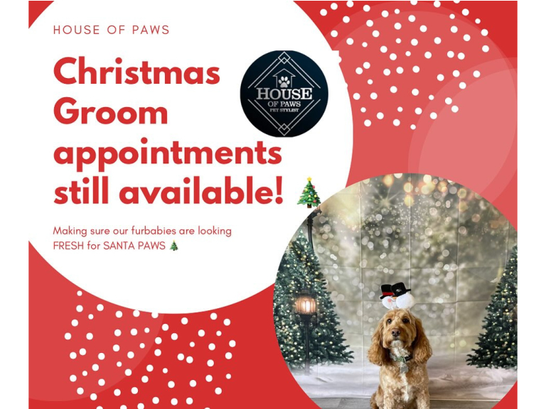 Christmas Groom Appointments at House of Paws