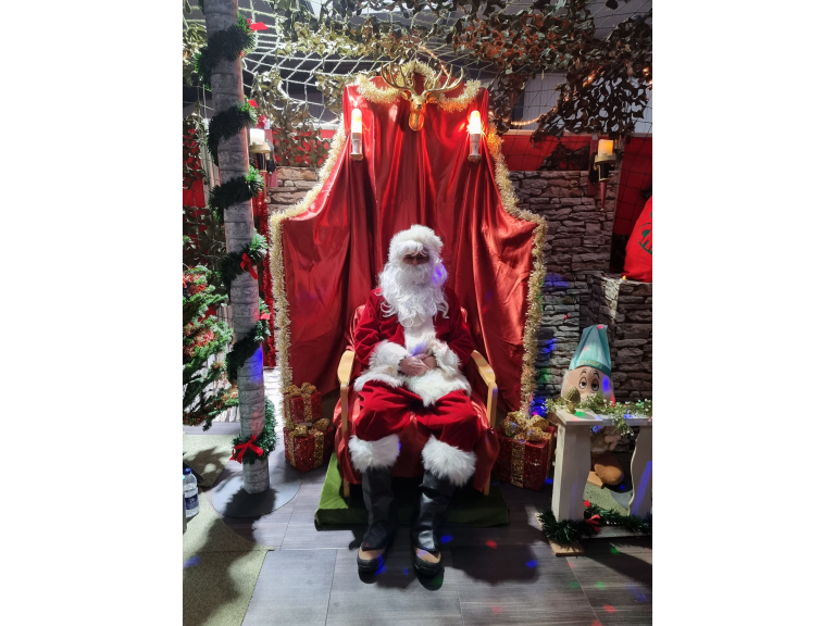 Christmas Fun Day and Santa's Woodland Grotto 