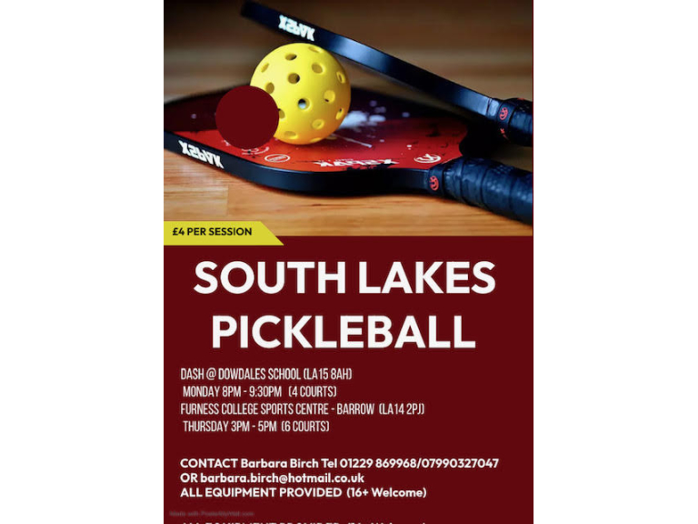 South Lakes Pickleball