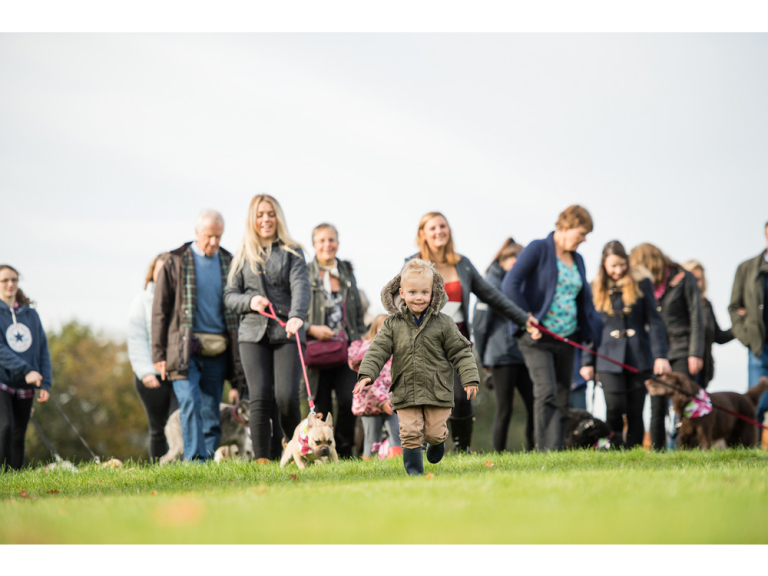 The Great British Dog Walk at Weston Park