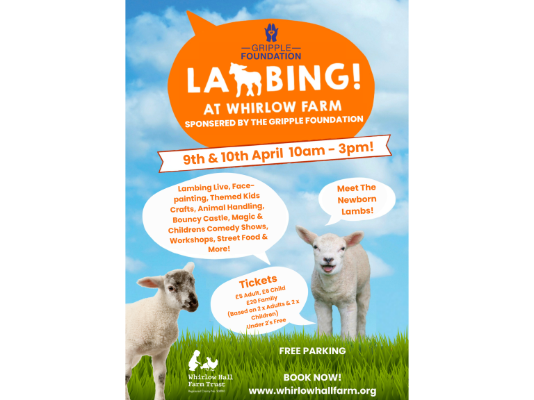 Lambing 2024 - Sponsored by The Gripple Foundation