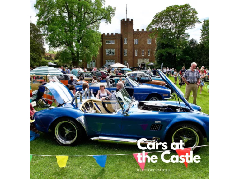Cars at the Castle