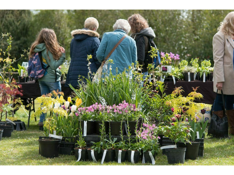 Arundel Castle announces 2024 Plant Fair with the return of the celebrated Plant Fair Roadshow
