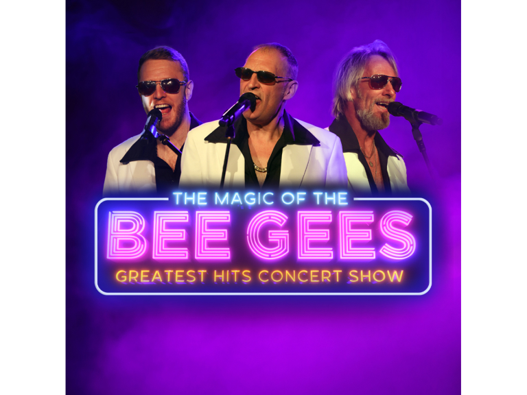 The Magic of the Bee Gees - You Win Again 