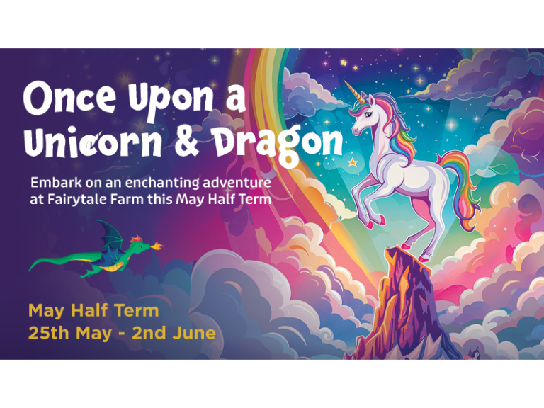 Once Upon a Unicorn and Dragon