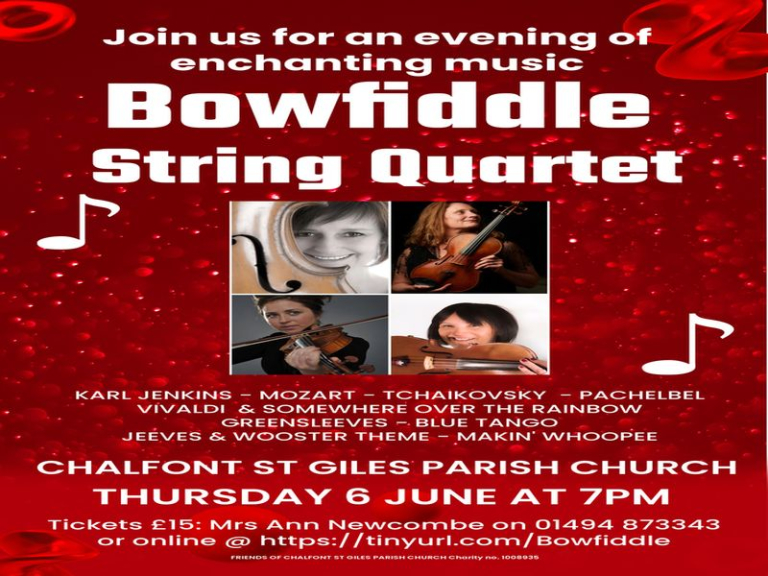 Bowfiddle String Quartet