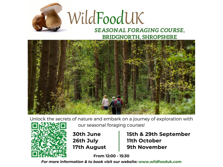 Foraging courses with Wild Food UK