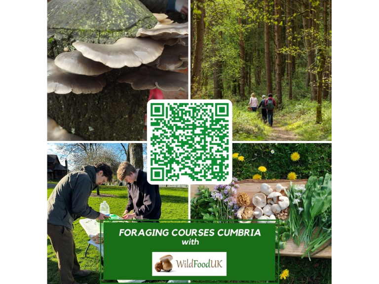 Foraging with Wild Food UK - Cumbria