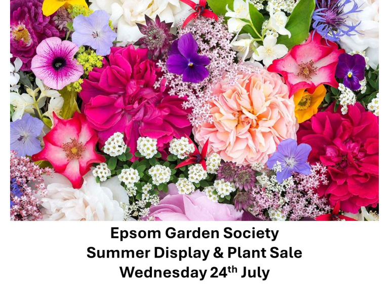 Epsom Garden Society Summer Display and #PlantSale #Epsom