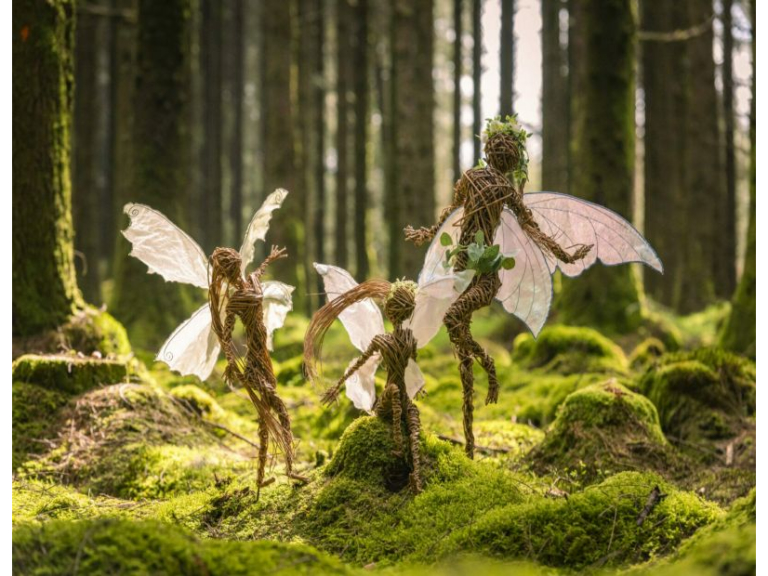 Dragon and Fairy Trail