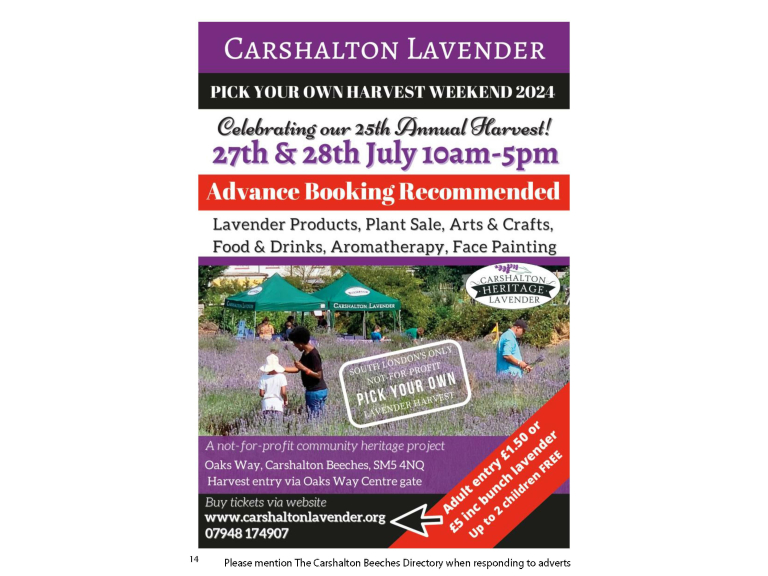 Feast on the colour and aroma of Lavender at Harvest Weekend with Carshalton Lavender @lavenderSM5