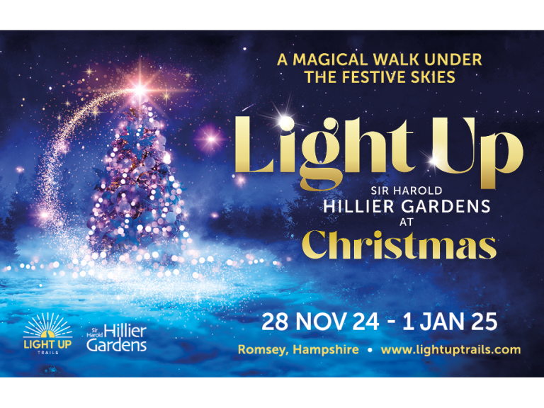 Light Up Sir Harold Hillier Gardens At Christmas