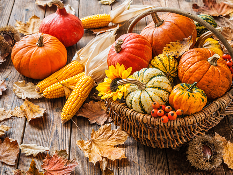 St George’s Park Nursing Home Harvest Festival Celebration