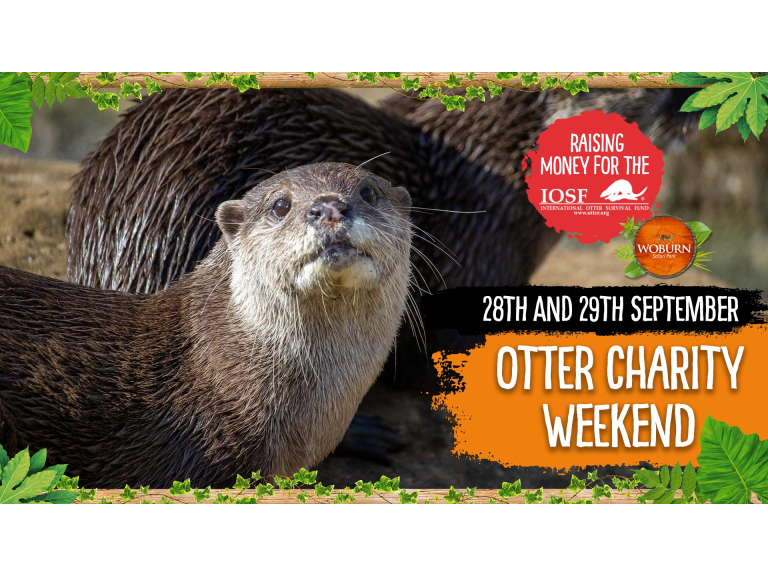 Otter Charity Weekend 28th-29th September 