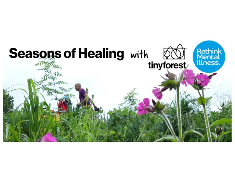 Seasons of Healing – Autumn Workshop at Eelbrook Common Tiny Forest