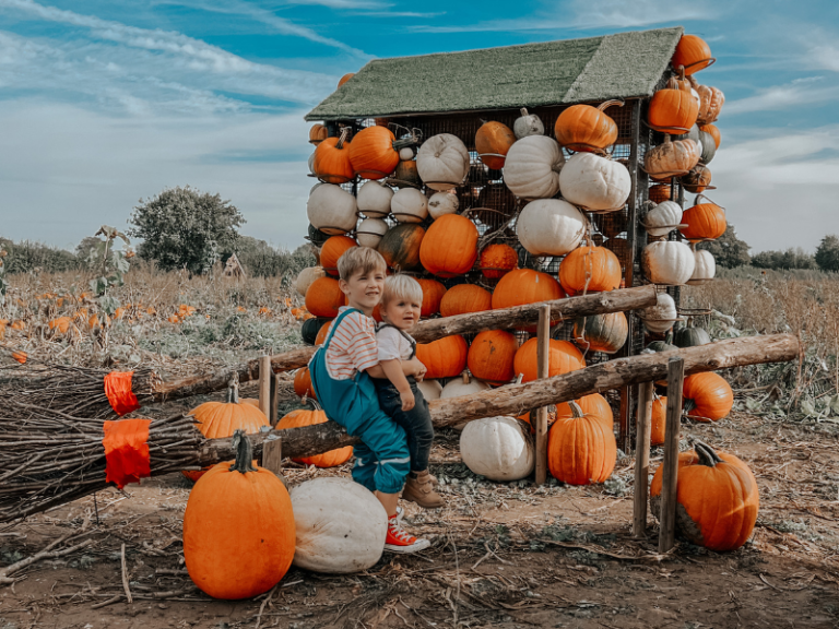 PYO Pumpkins & Halloween Maze Lewes