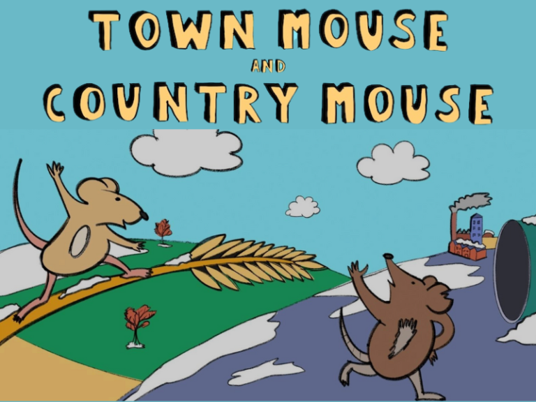 TOWN MOUSE & COUNTRY MOUSE