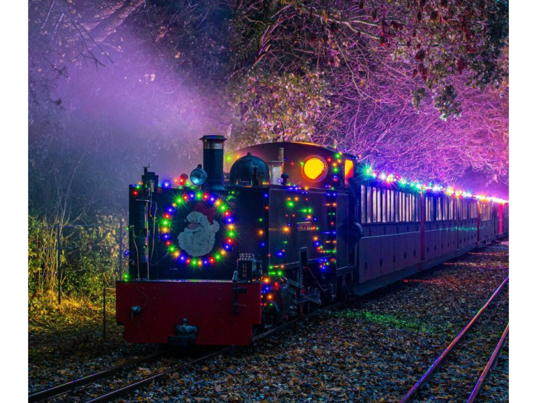 Noel Night Train