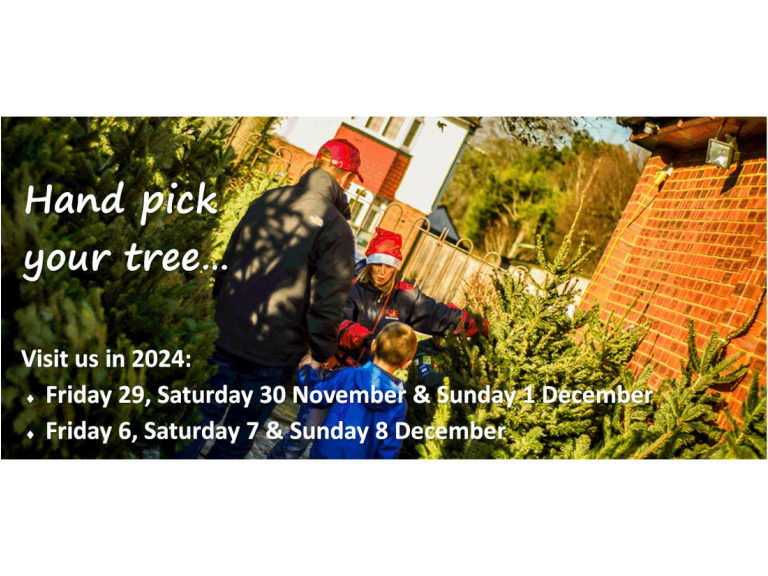 4th Ewell (Nonsuch) Scouts Christmas Tree Sale @nonsuchtrees you can visit or order online