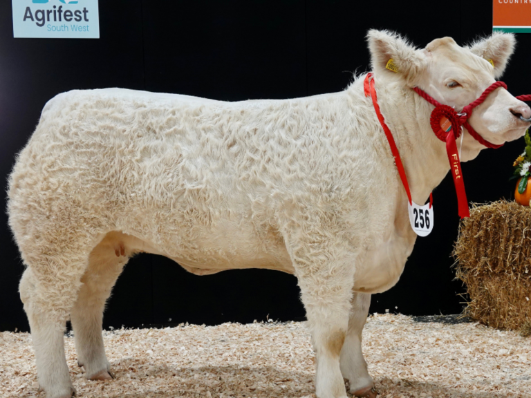 Agrifest - Westpoint Exeter