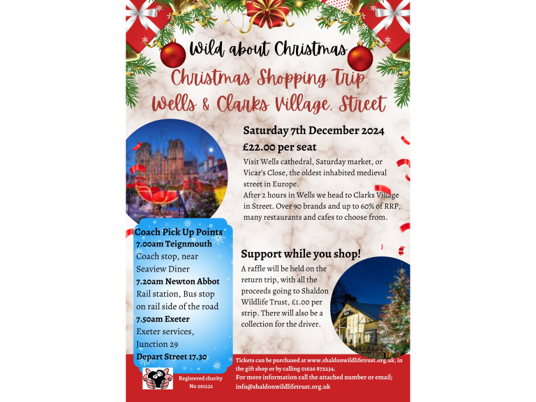 Christmas shopping trip to Wells & Clarks Village, Street in aid of Shaldon Zoo