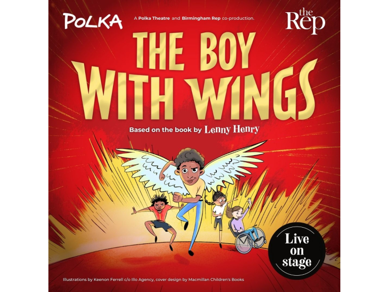 The Boy With Wings  