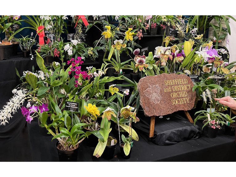 Sheffield Orchid show and Exotic Plant Fair