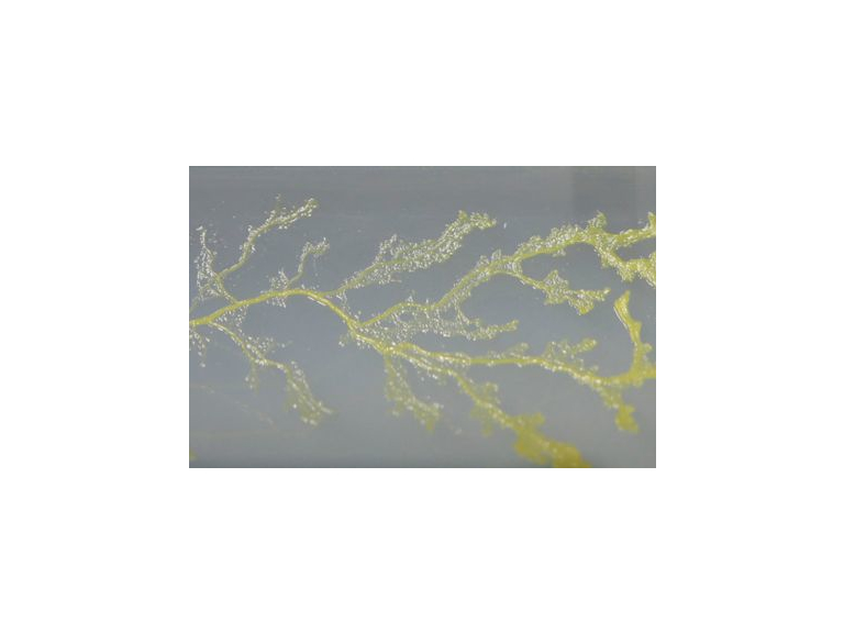 Mind + Matter: Towards Co-Creation (FREE Art/ Science Exhibition)
