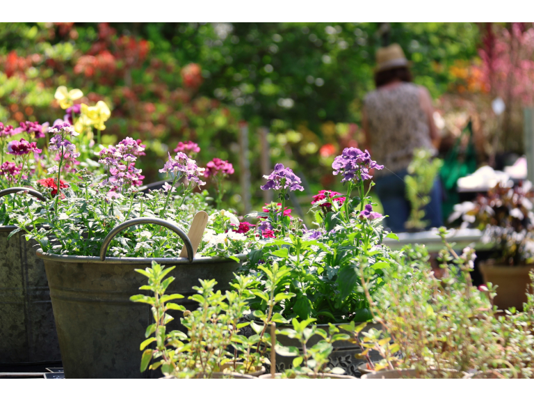 Specialist Spring Plant Fair