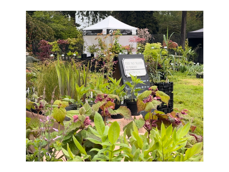  The Plant Fair Roadshow at Ramster Garden