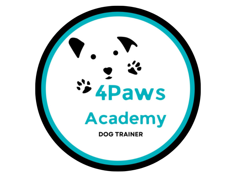 Advanced Dog Training Classes in Walsall