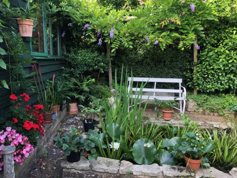 National Garden Scheme - Terrace House Garden, Hertford