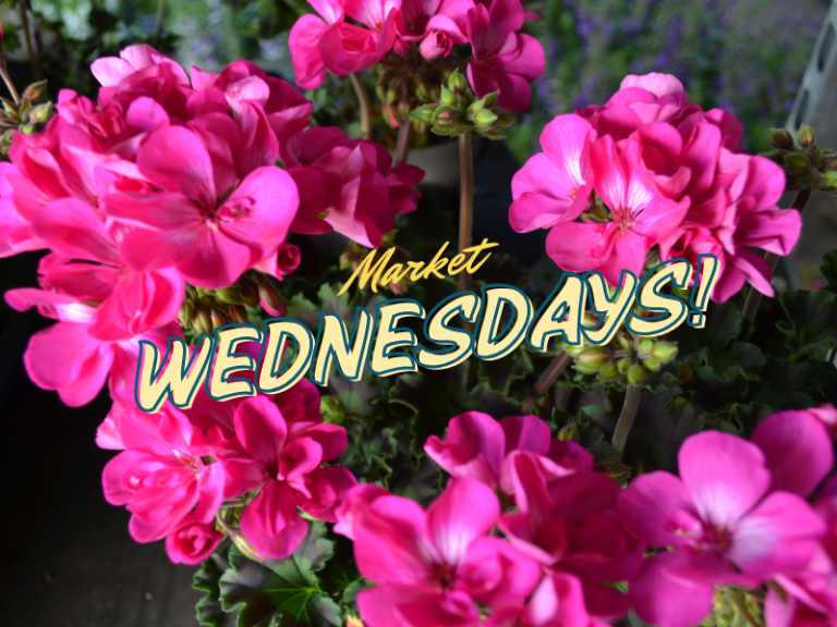 Wednesday Market's