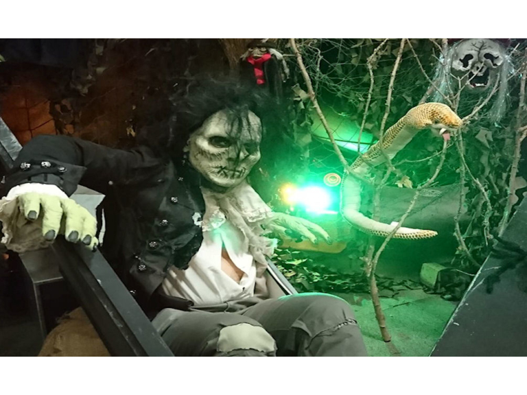 Halloween Family Fun