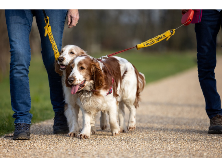 Walkies 