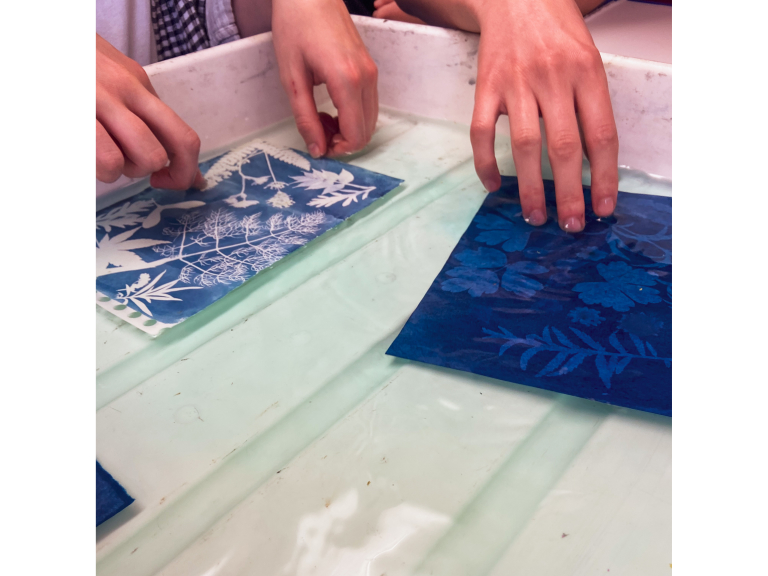 Garden Cyanotypes: Family Print Session