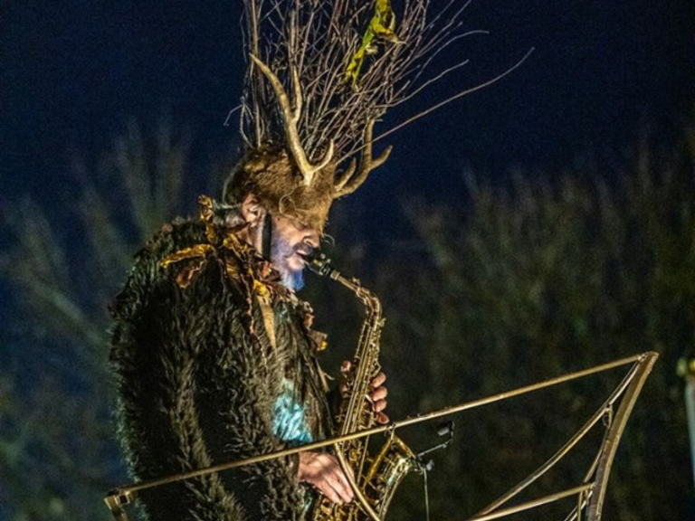 Maypoles and Mischief- The Museum of Somerset