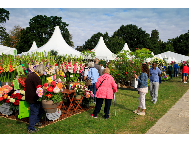 Wisley Flower Show