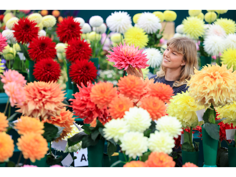 National Dahlia Society Show