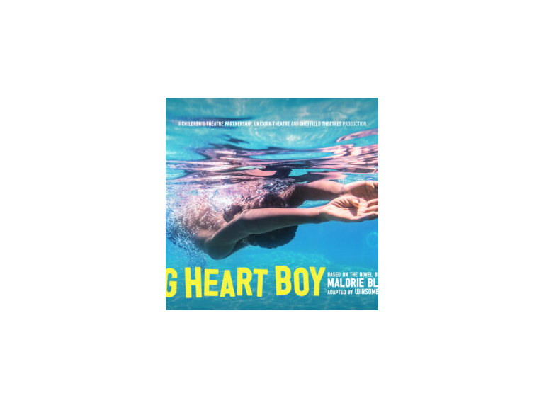 Pig Heart Boy