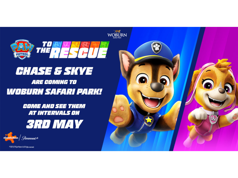 Come and see Chase and Skye from PAW Patrol!