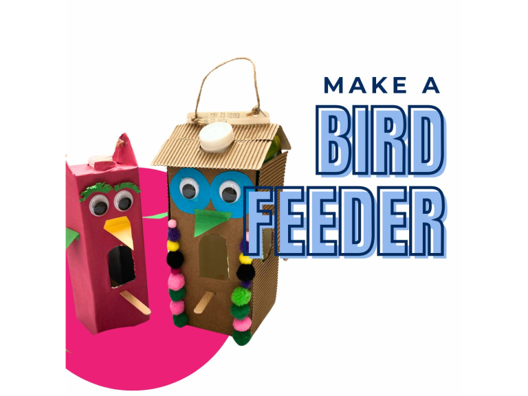 Make a Bird Feeder 