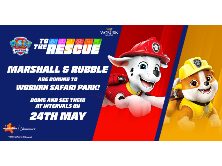 See Marshall and Rubble from PAW Patrol on 24th May 2025