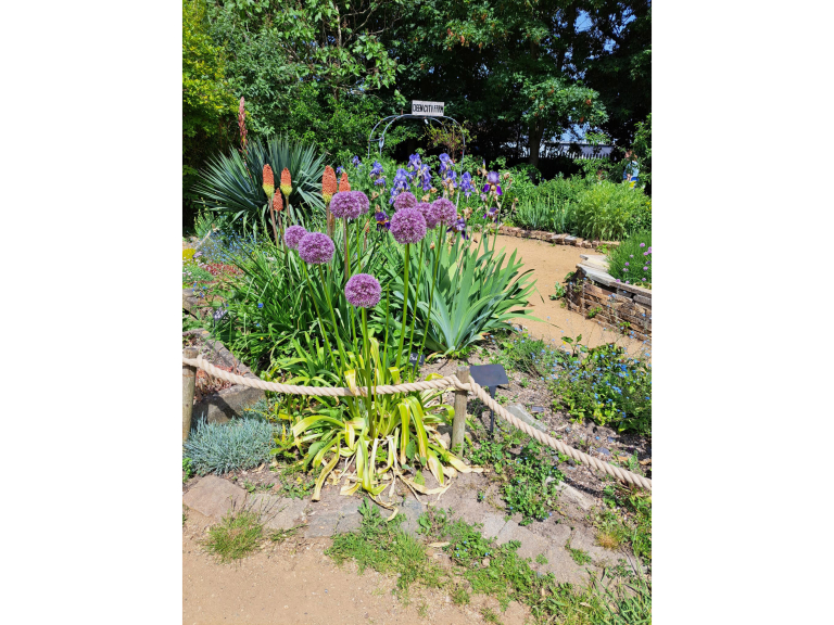 National Garden Wildlife Week At Deen City Farm